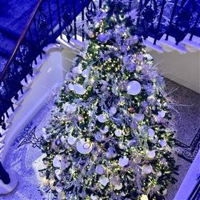 fwthumb12 foot Christmas tree white frosty The Langley Lilys Flowers Lightwater.jpg
